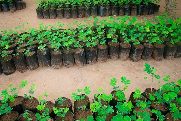 Silos y biodigestores para el sector agro